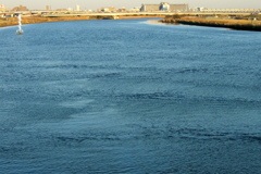 西新井橋の荒川の風の波紋