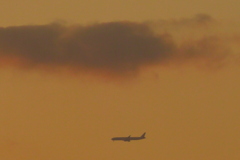 荒川土手から南の低空の雲の下の飛行機