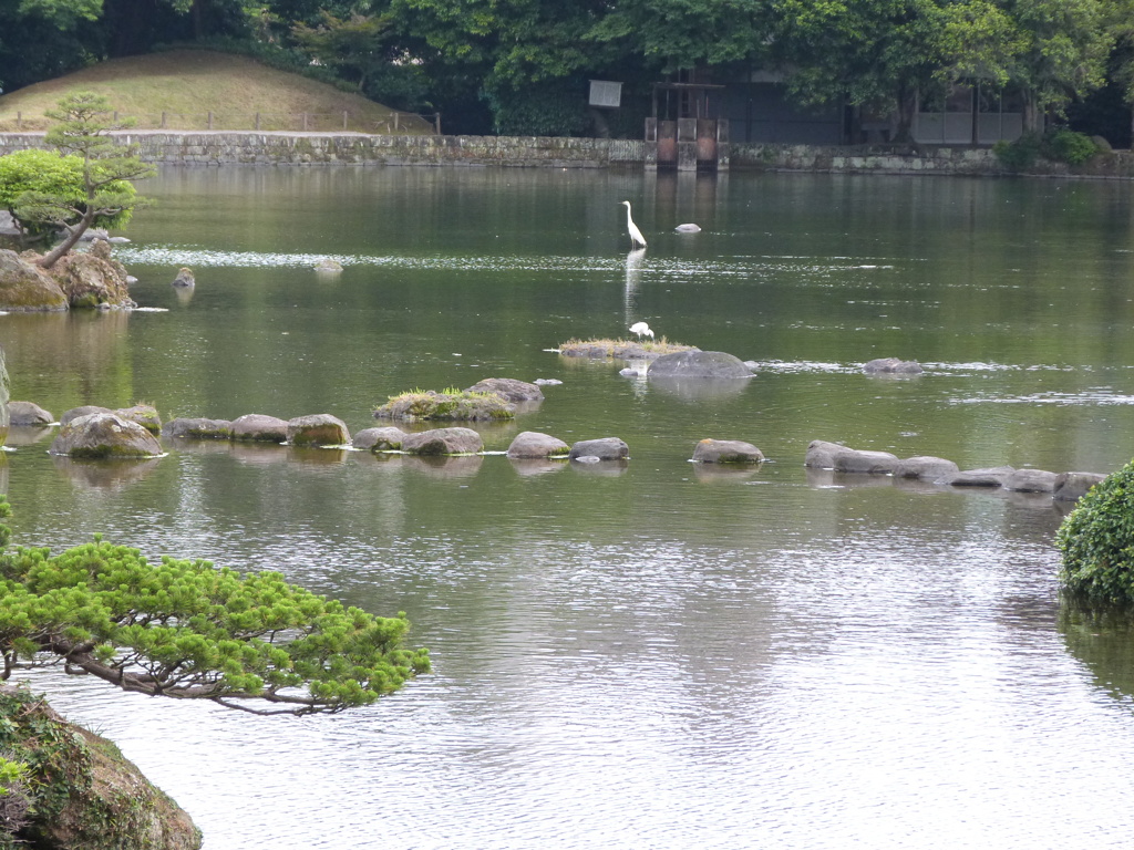 水前寺公園の池