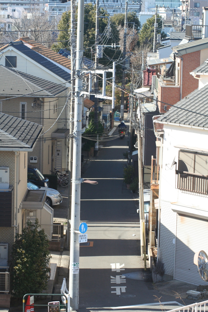 柳原金八ロード