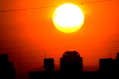 足立新田のタワーマンションの上の夕日