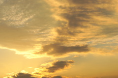黄金の立ち上がる雲