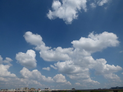 荒川の高速の高架上の雲くも