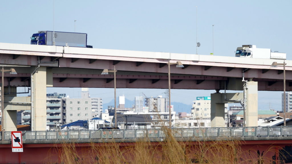 荒川土手から高速の下に筑波山頂部全体が見える