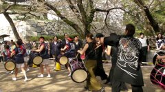 名古屋城の大手門に向かう