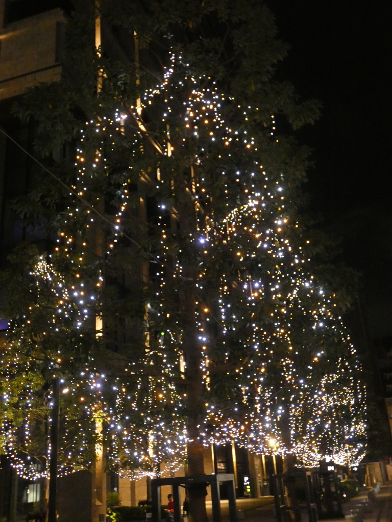 中央道りのホテルサイドのイルミネーション