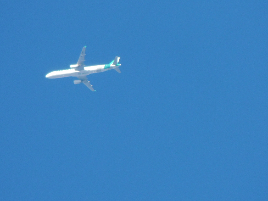 寒空にANA機