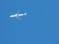 寒空にANA機