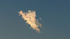 隅田川の夕方の彩雲