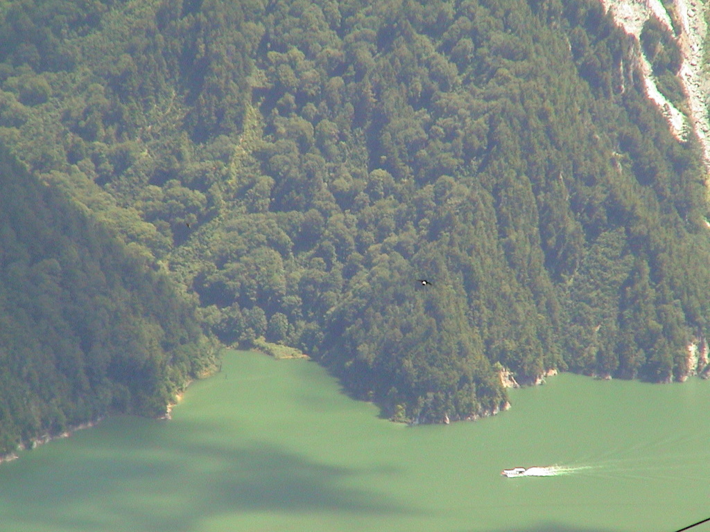 黒部湖の船が見える風景