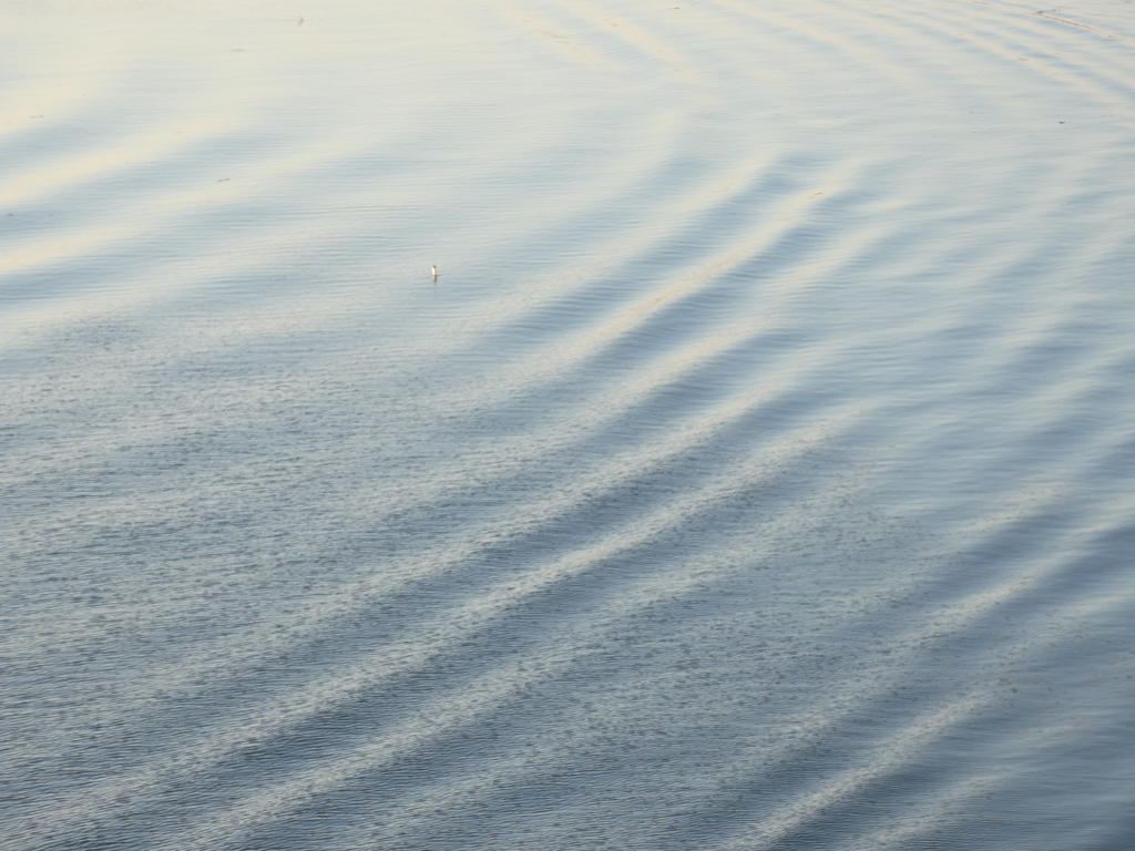夕方の荒川のカラー