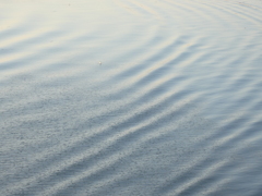 夕方の荒川のカラー