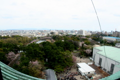 名古屋城の天主からの眺め９