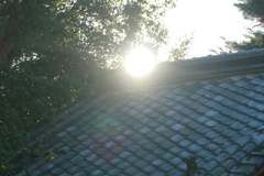 千住元宿稲荷の屋根の木漏れ日