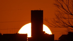 遠いタワーマンションの後ろ