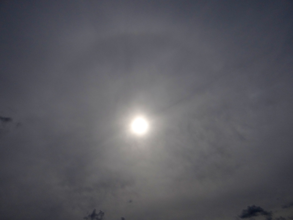 今日のお天気