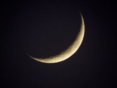 白道が高い月齢3.5