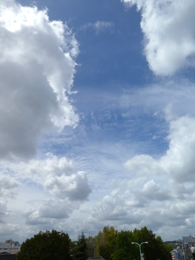 土手上の早秋の雲
