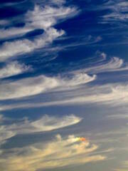隅田川上空の巻雲