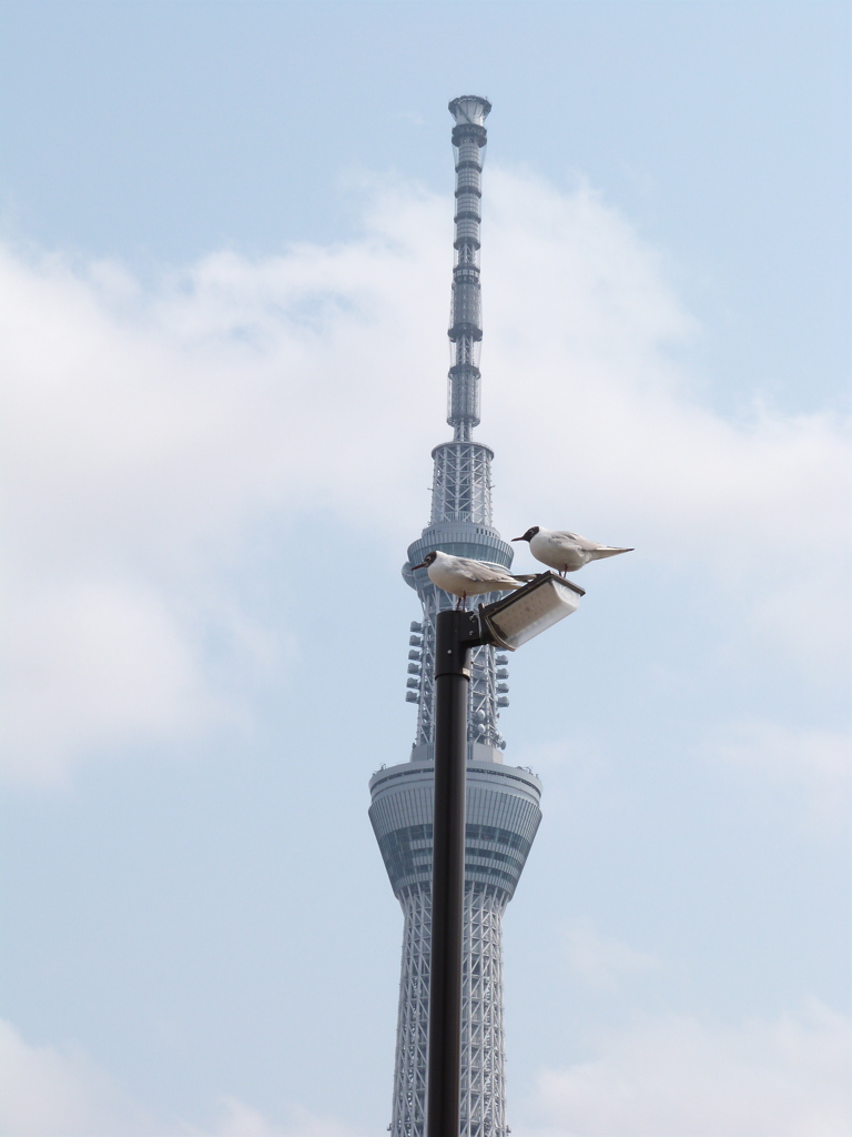 重なり