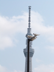 重なり