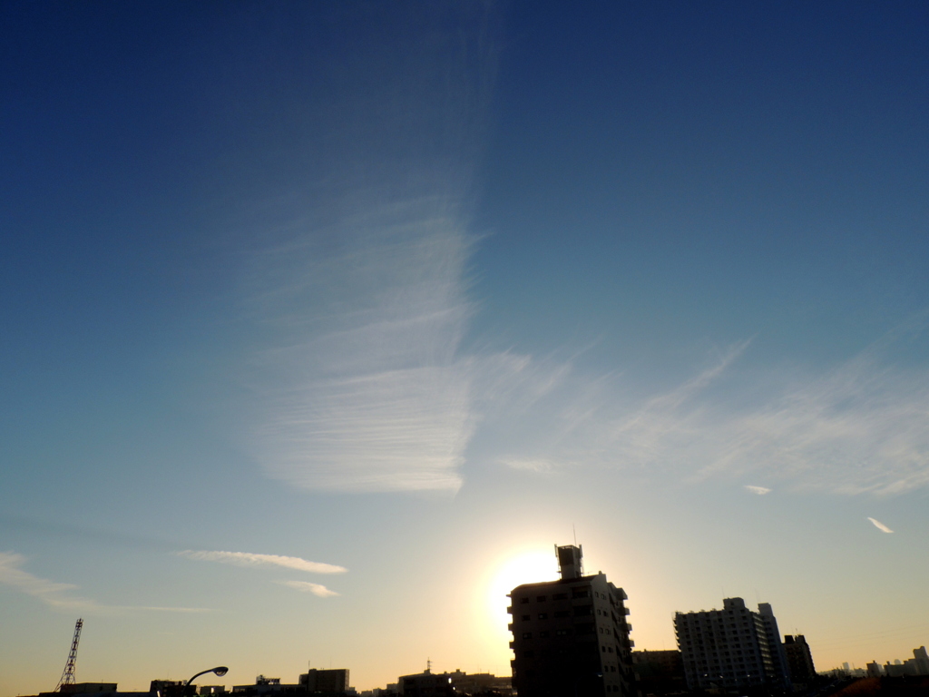 ’２３新春の荒川土手の夕日が当たる一反木綿風の雲が