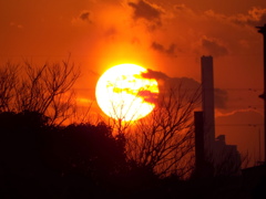 池袋の巨大焼却炉のチムニーの左の河原の茂みの夕日