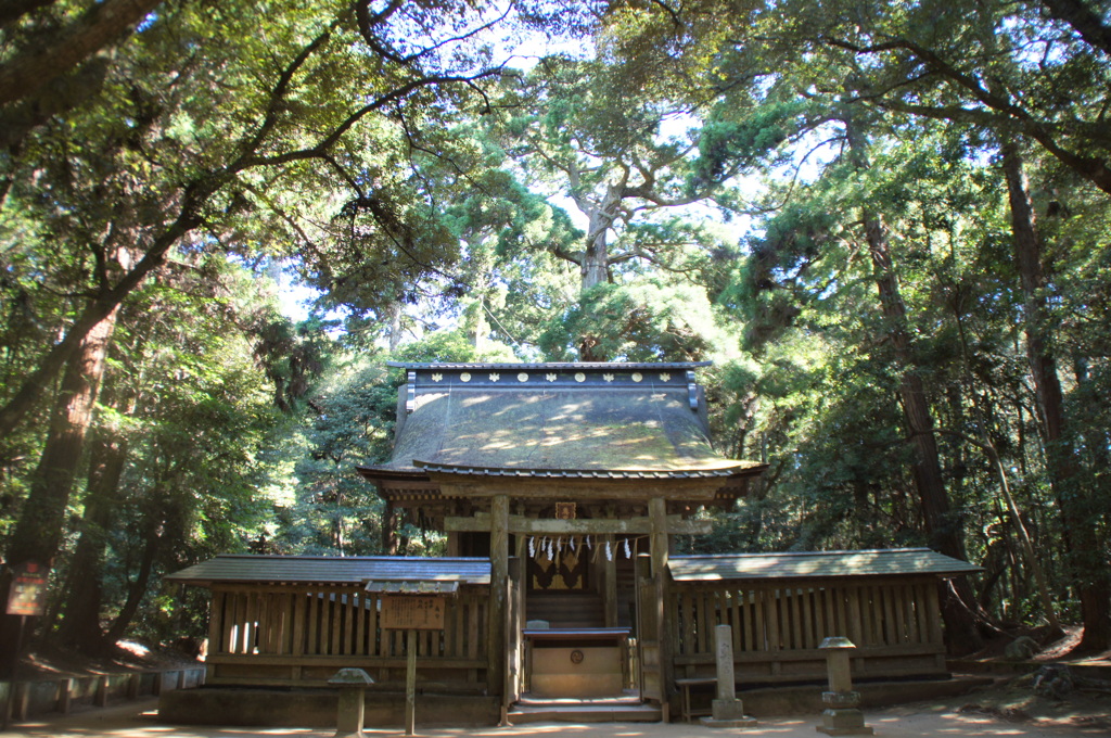 参道の奥を少し右に入った木漏れ日の鹿島神宮の本社殿