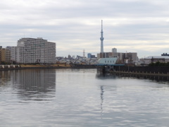 千住桜木ワンドから東京スカイツリーと層をなした雲