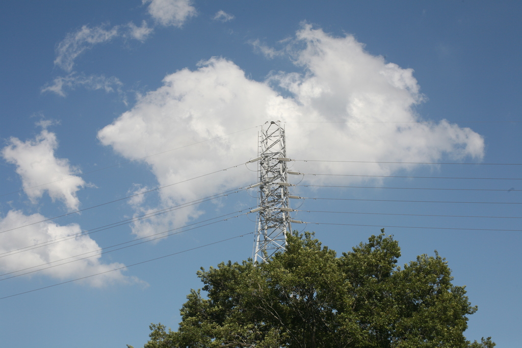 河原のエノキの上の鉄塔の上の積雲