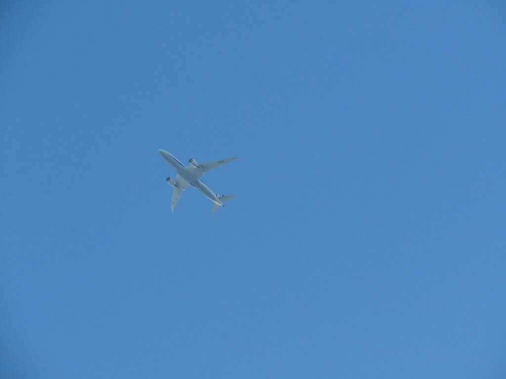 早朝の空に