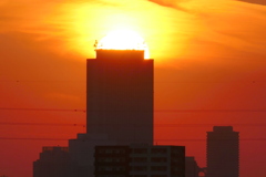 サンシャインビルの夕日