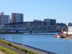 イチョウ並木を過ぎる隅田川沿いの土手道から橋梁と
