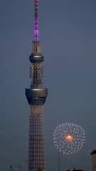 '２５隅田川花火大会０５