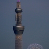 '２５隅田川花火大会０５
