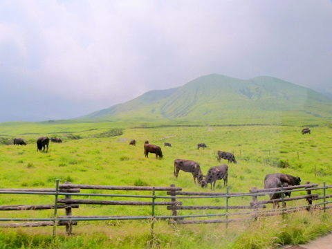 層雲の阿蘇の眺め、’草千里’