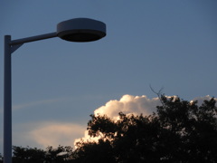 尾竹橋公園の光る積乱雲