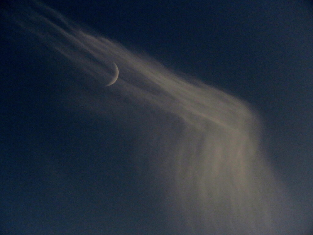 夕方の巻雲月齢4