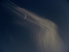 夕方の巻雲月齢4