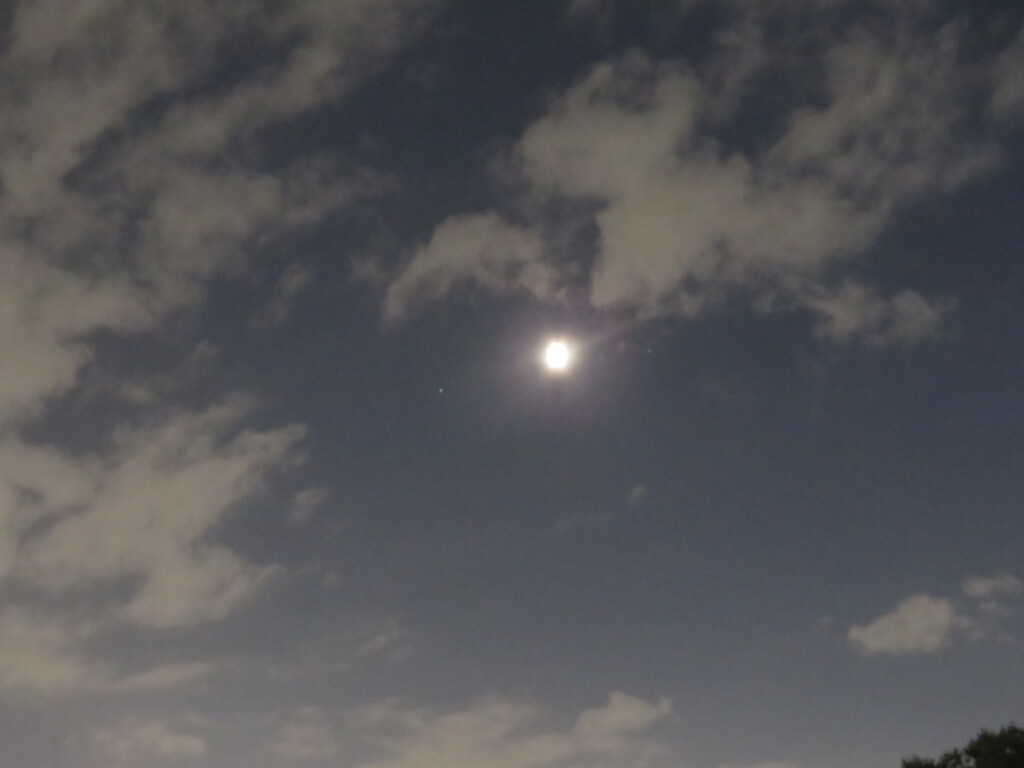 雲と月齢6,8の月