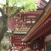 樟と天満宮