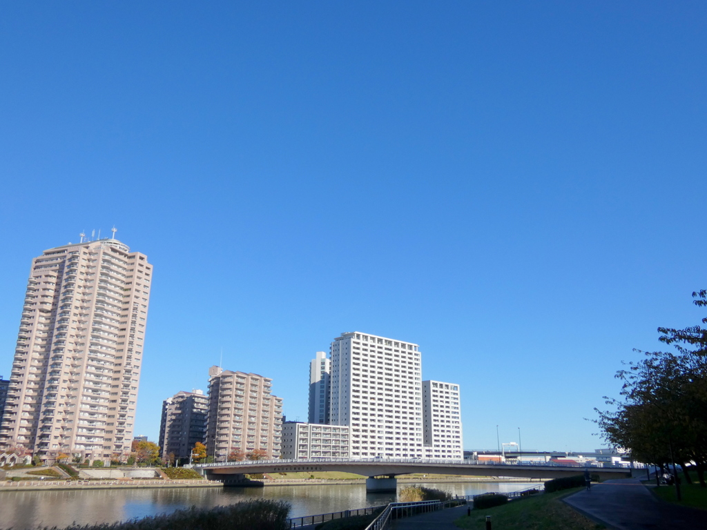 隅田川沿いの汐入大橋の眺め
