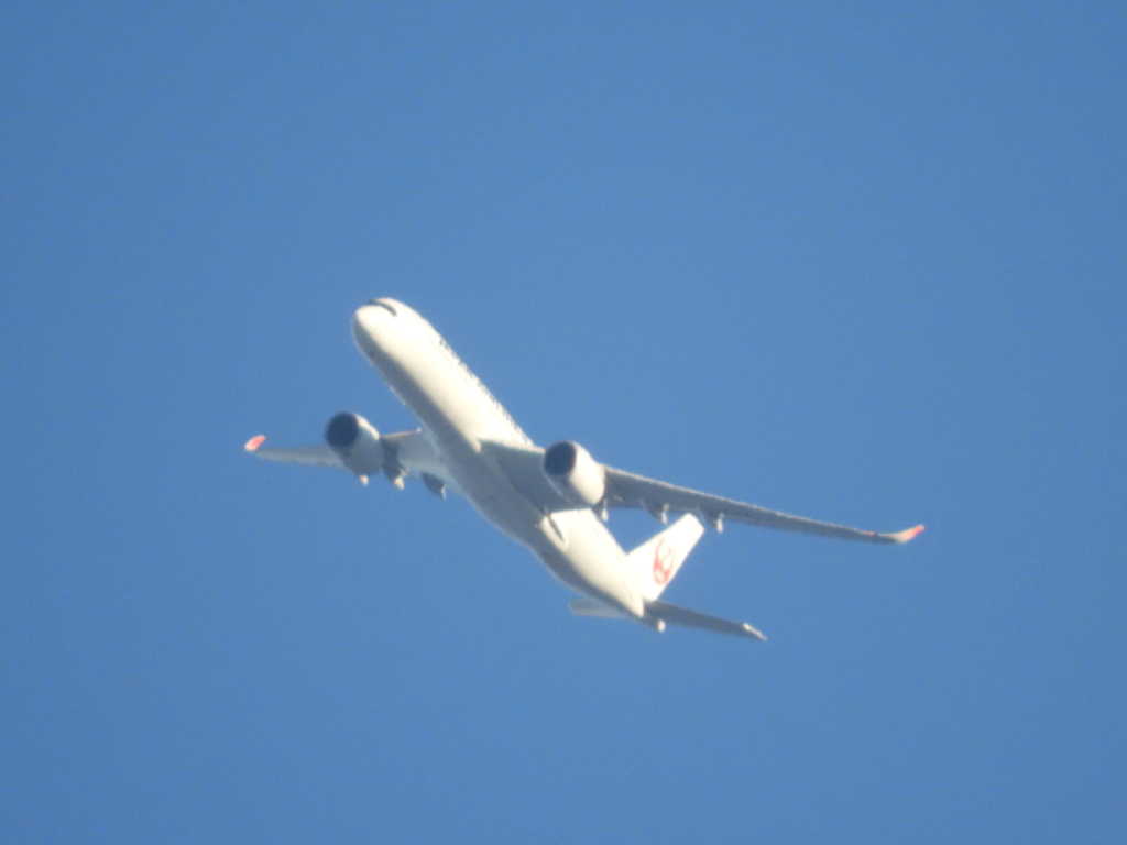 千住新橋上空の少し旋回儀木のJAL機