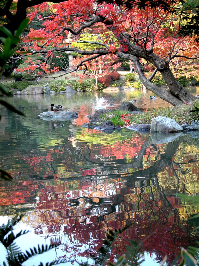 旧古河庭園の秋の完成度