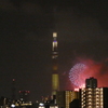 上流の橋から墨田の花火大会