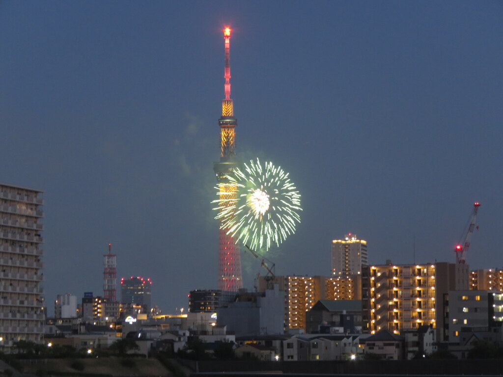 東京スカイツリーと隅田川花火