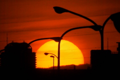 千住土手中通り沿道から街灯の中の大谷ヶ丸の夕日