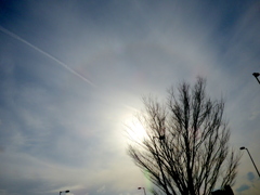 墨田川沿いの現象