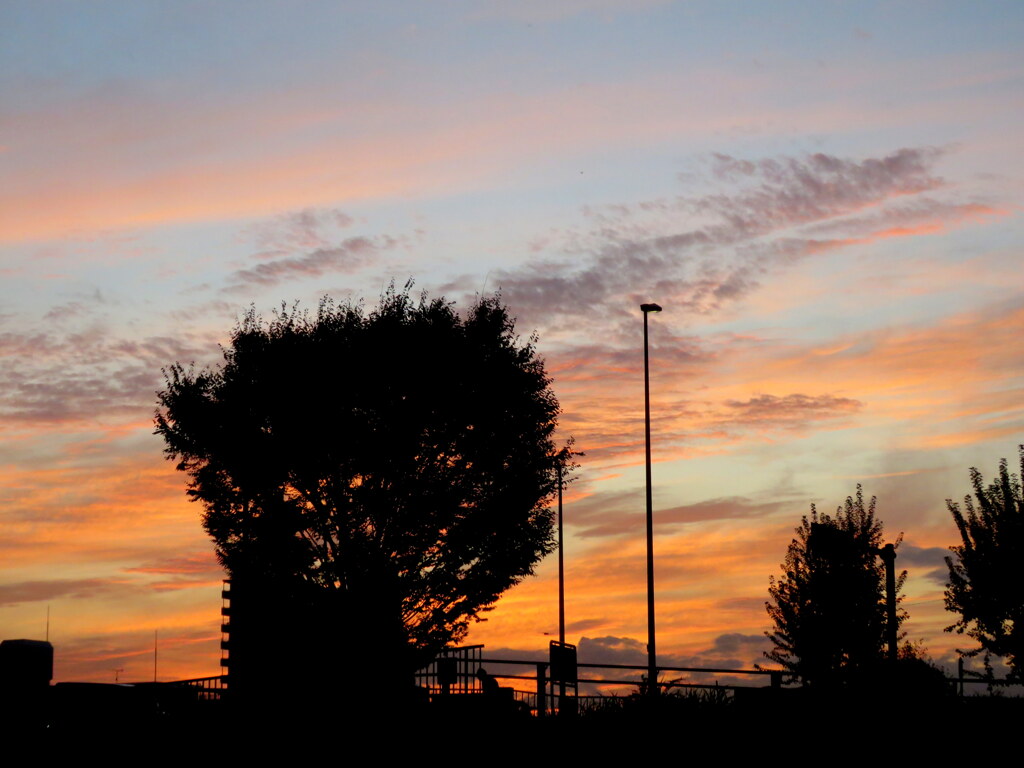 夕焼け