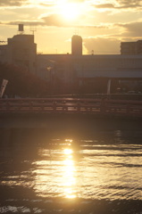 目黒川の夕焼けの風景